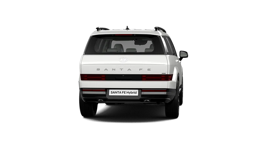 후면