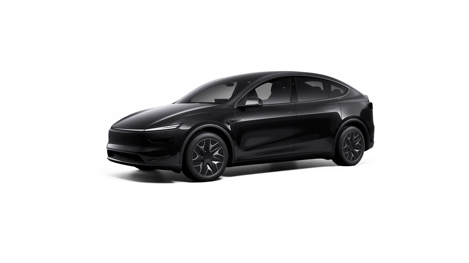 Model Y L Diamond Black